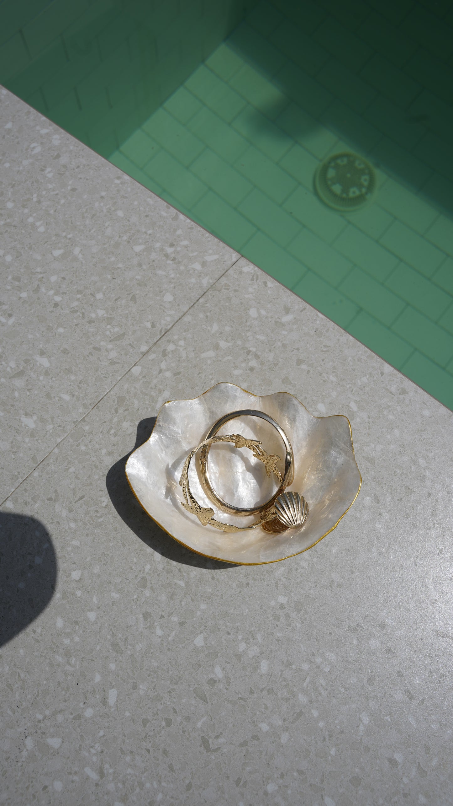 Clam-shaped shell tray