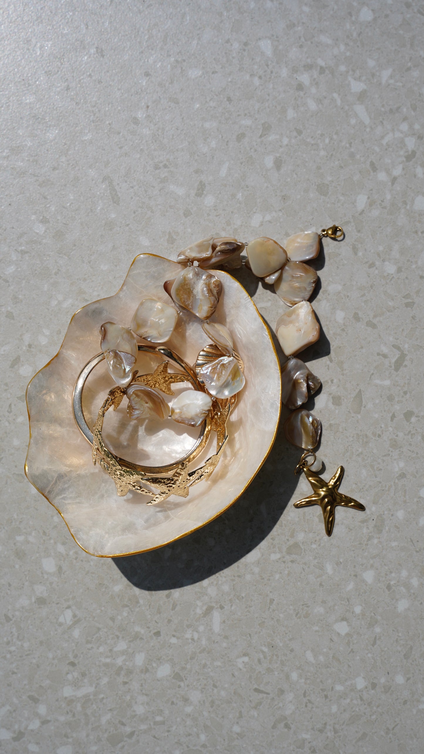Clam-shaped shell tray