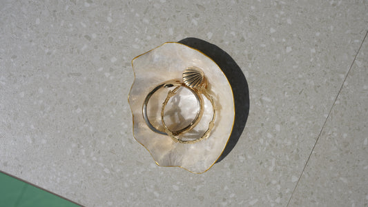 Clam-shaped shell tray
